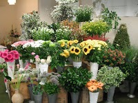 Forever Green Florist and Gifts 1075754 Image 3